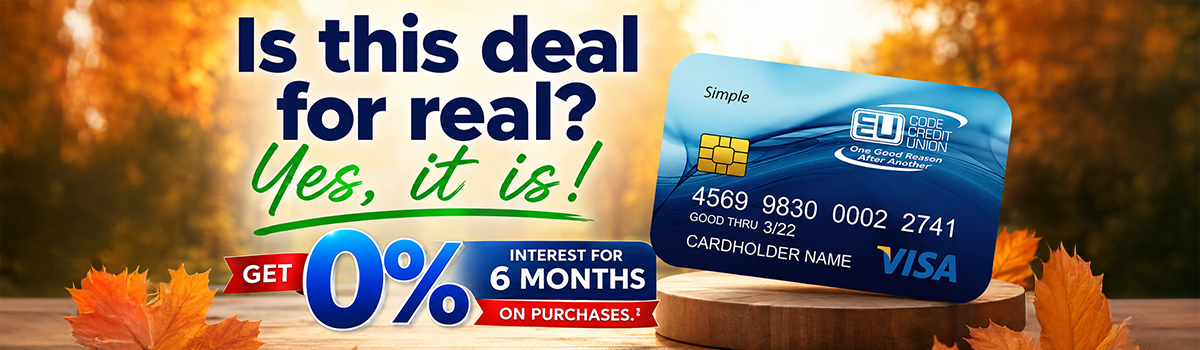 is this deal for real? yes it is! get 0% interest for 6 months on purchases^2